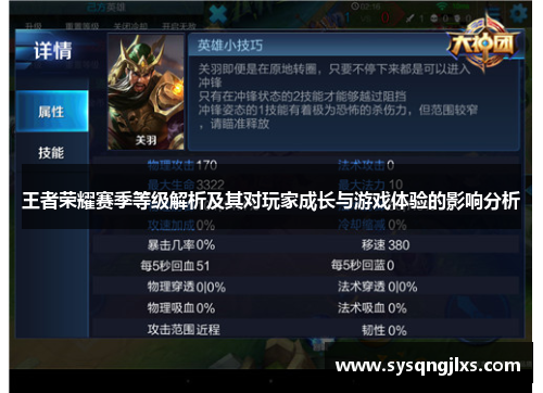 王者荣耀赛季等级解析及其对玩家成长与游戏体验的影响分析